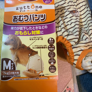 小型犬用おむつ・おむつパンツ　