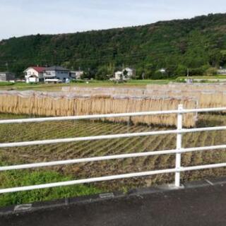 稲わら無料の画像