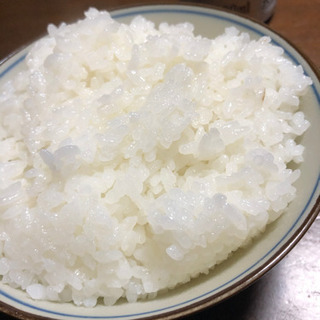 新米　　新潟県産コシヒカリ