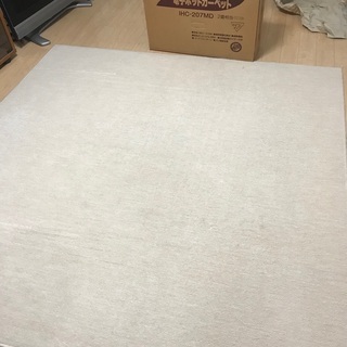 イワタニ　ホットカーペット