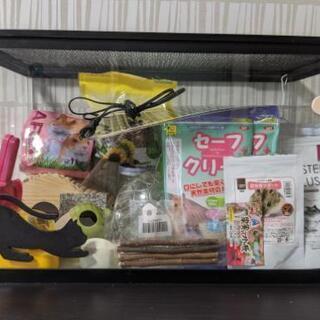 ハムスター飼育セット