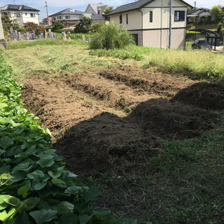 畑をやりたい方募集