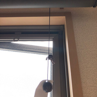 ロールカーテン　茶の画像