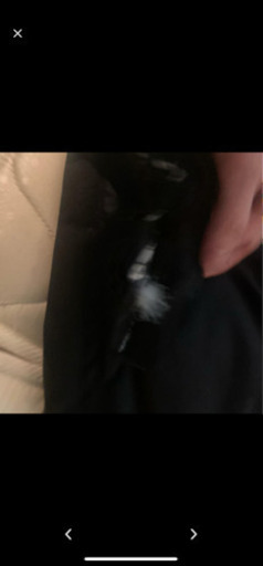 ピレネックス　ダウン　Sサイズ