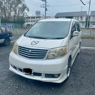 アルファード売っています