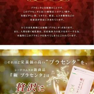 新商品これは贅沢プラセンタ【ダブル配合】極プラセンタ 約３ヵ月分美容ケアの画像