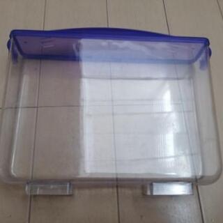 カブトムシの幼虫観察用のケースの画像