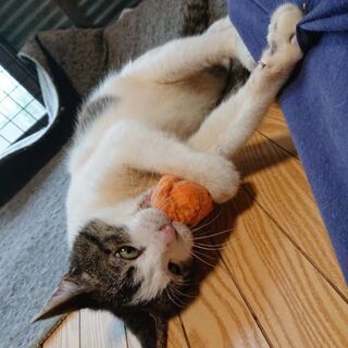 大人しくて人が大好き💕な男の子