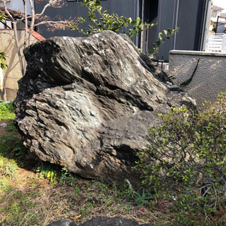 庭石　庭木　あげます