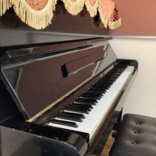 【音楽だけじゃない♪】三鷹0〜2歳児リトミック・プリュの画像