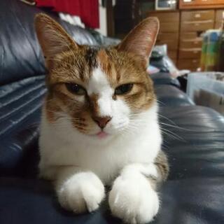 皆様のおかげで無事に見つかりました。ありがとうございました。