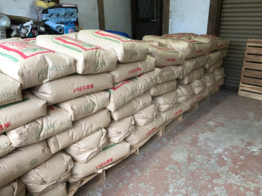 茨城県産 コシヒカリ 30キロ 中米 数量限定 令和5年度産　新米