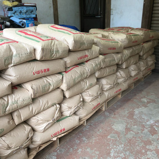 茨城県産 コシヒカリ 30キロ 中米 数量限定 令和5年度産　新米