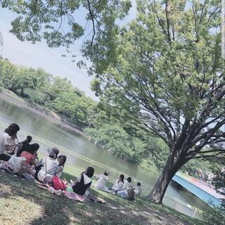 長居公園でピクニック