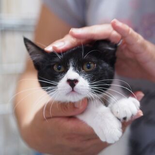 抱っこでゴロゴロこぱんちゃん