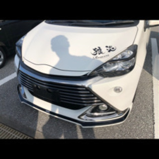 AQUA  前期用　アイラインガーニッシュ