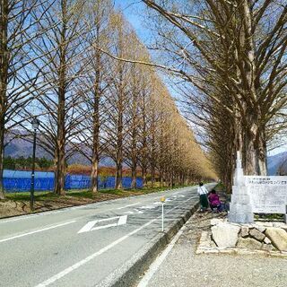 ロードバイクで坂好きの方、一緒に走りませんか？ - スポーツ