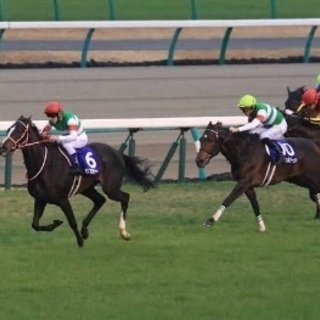 同世代の競馬友達募集！！