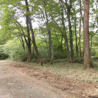 那須塩原市戸田　92.8坪遊び利用の土地