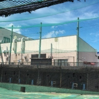 気軽にスポーツ。今回は野球です。 - 新宿区