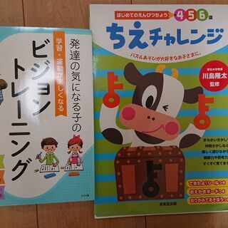 発達の気になる子の　学習・運動が楽しくなる　ビジョントレーニング...