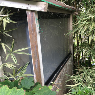 【現在商談中】かなり大きめな水槽お譲りします。の画像