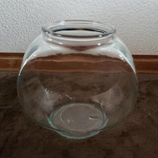 ㉓金魚水槽