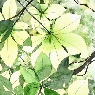 土曜日午後開催　M's Watercolor 水彩画教室