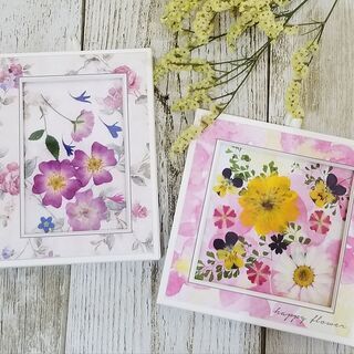初めてでも大丈夫。自然の色そのままの綺麗な押し花で可愛いミニ額を...