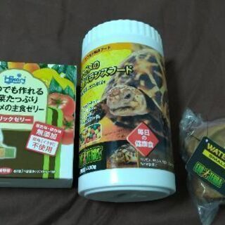 リクガメのエサ