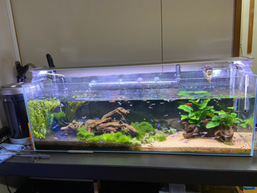 900スリムフルセット