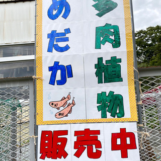 本日最終日 画像更新 メダカ、多肉植物、家電、プライズ品など販売