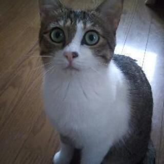 可愛がってくださる方大募集