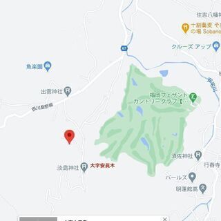 山林お譲りいたします　約60年の杉の木と檜 込み　別荘、ログハウス建築、一人キャンプ、新築用の木材利用にも最適です − 福岡県