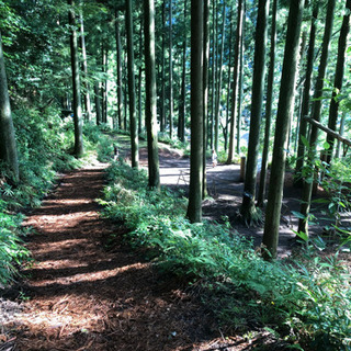 豊能郡能勢町、豊野町あたりの山林・土地を探しています！