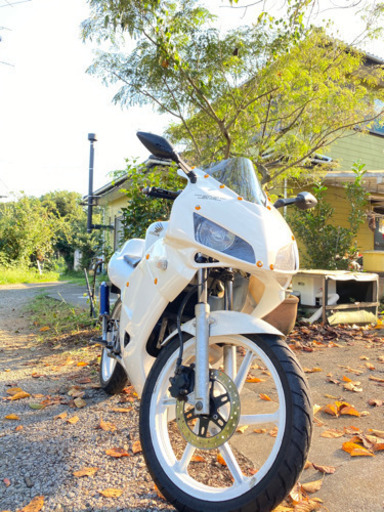 今週で消します。HONDA NS1 CBR1000仕様