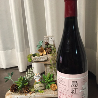 女性のお友達募集❣️ − 愛媛県
