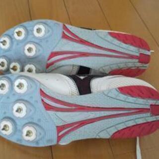 陸士競技用スパイク 23cmの画像