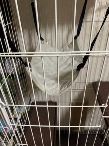 猫初めて飼い多動飼いに便利なセット