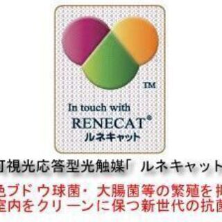 冬に向けてウイルス対策！！今注目の東芝ルネキャット