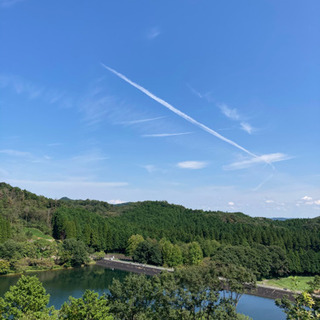 森林公園でウォーキングやります❗️