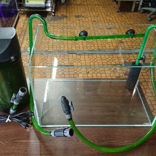 ADA 45センチ水槽+エーハイム2213のセットの画像
