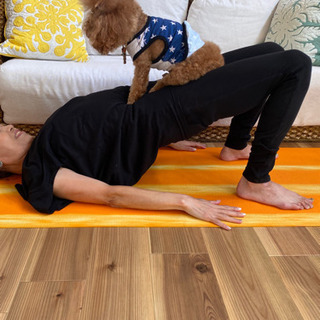 愛犬と一緒に❗️dog_fitnessレッスンしましょう！の画像