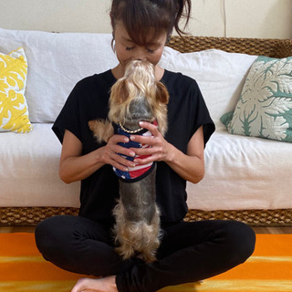 愛犬と一緒に❗️dog_fitnessレッスンしましょう！