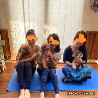 愛犬と一緒に❗️dog_fitnessレッスンしましょう！の画像