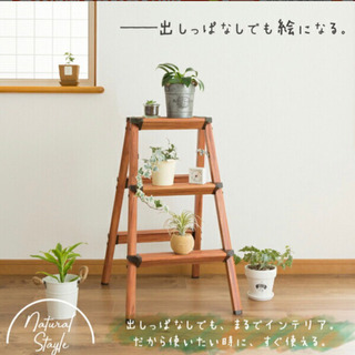 木目調脚立