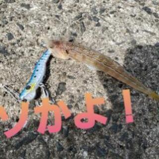 釣り仲間
