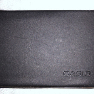 CASIO DC-210KL DATA-CAL150カナ
