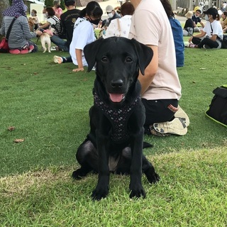 犬友募集です😊