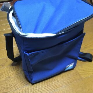 サーモス ソフトクーラー 20L REF-020 BL ブルー